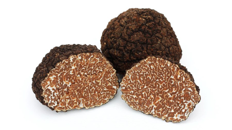 Tuber Uncinatum