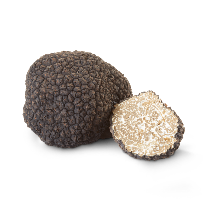 Tuber Aestivum