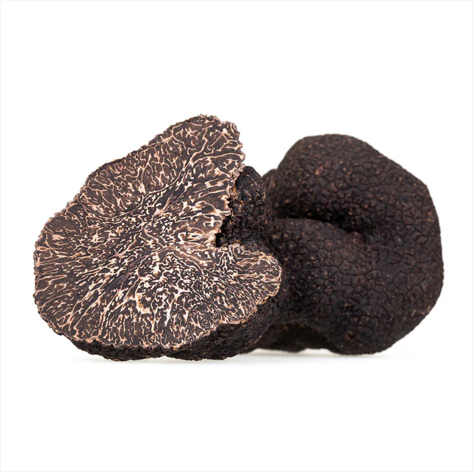Tuber Macrosporum