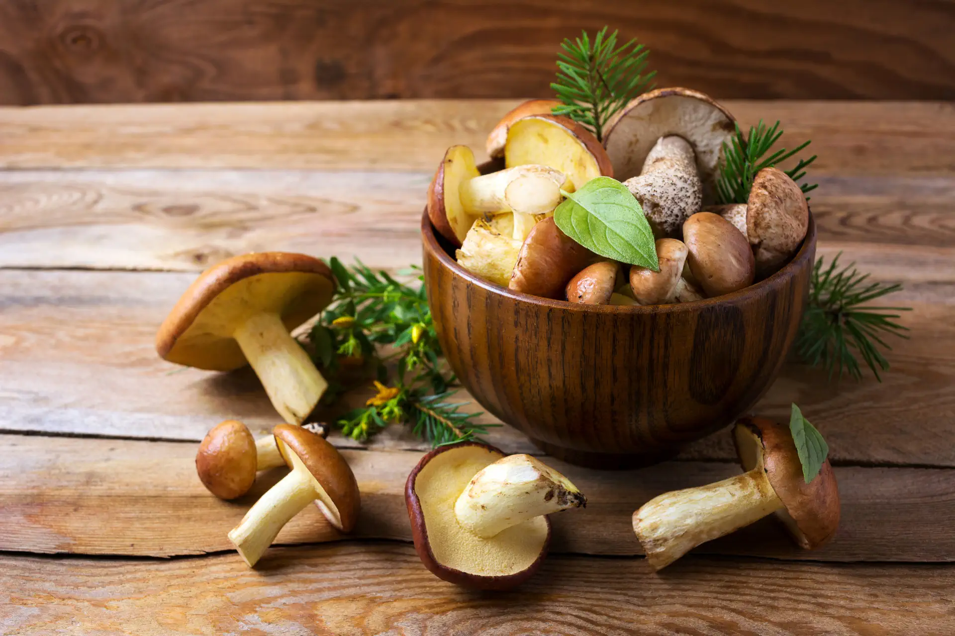 Wild mushrooms and berries